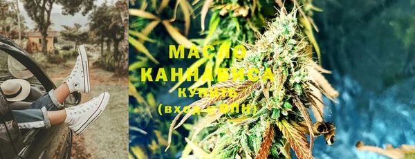 стаф Медногорск