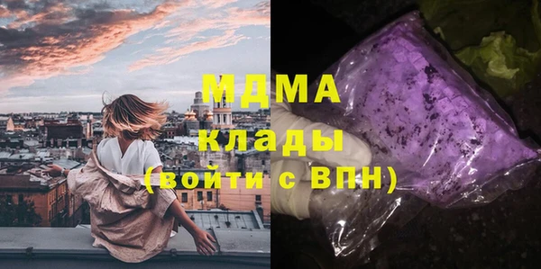 стаф Медногорск