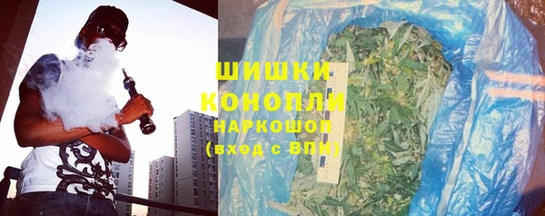 стаф Медногорск
