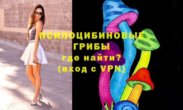 стаф Медногорск